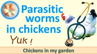 Yuk! I find a worm in my chicken