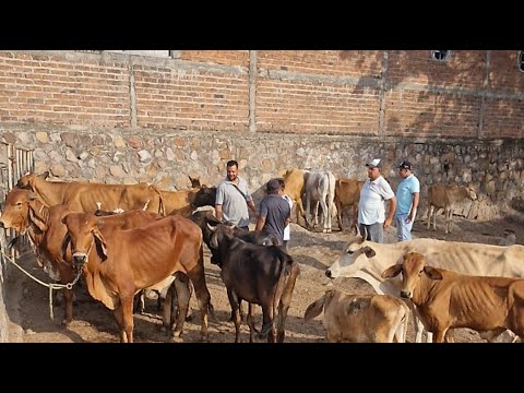 tiangue de Santa Rosa de Lima, La Unión, El Salvador, sábado 02 de mayo 2026