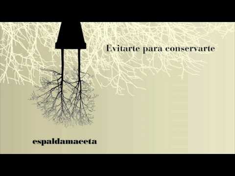 Espaldamaceta - Evitarte para conservarte