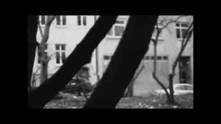 The Orchids - Carole-Anne