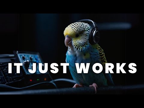 Music For Budgies To Relax & Sleep ❤️ Calming Piano Music To Soothe Your Budgie