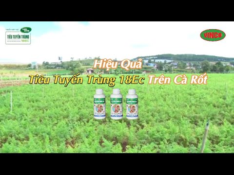 , title : 'Hiệu Quả Tiêu Tuyến Trùng 18Ec Trên Cà Rốt.'