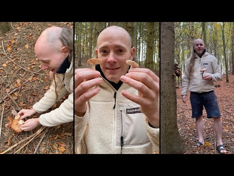 DJ HUNDEFRIEDHOF – Leuchtpilz | English Subtitles | Glowing Mushroom (Honey Fungus)