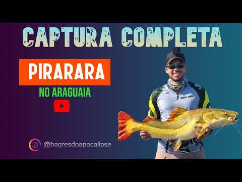 CAPTURA PIRARARA NO RIO ARAGUAIA -  SÃO FELIX DO ARAGUAIA - MT