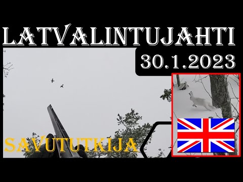 Latvalintujahti 2023 Osa 1 -Toppjakt - Grouse and Capercaillie Hunting in Finland
