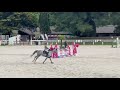 Super jument d'avenir pour amateur ou pro 