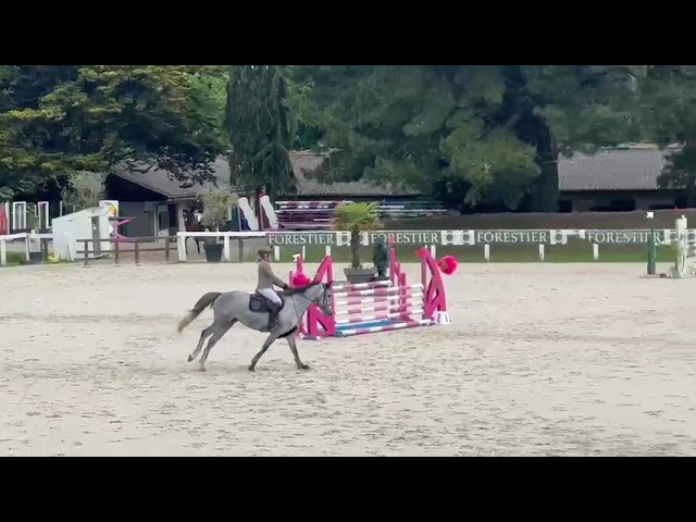 Super jument d'avenir pour amateur ou pro 