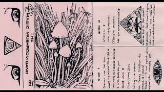 Magic Mushroom Band - Live &#39;89