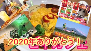 明けましておめでとうございます🎉2020年れいピーまとめ！年越しUC