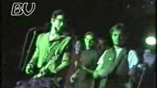 Suburban Legends - Desperate & Buttercup (Live)