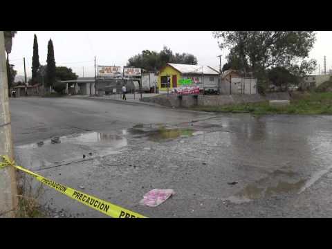 Baja 1000 2012 -- The Buggies!