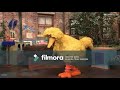 Sesame Street Journey To Big Bird