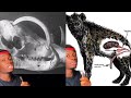 Animals That Got The Middle Finger From Evolution
