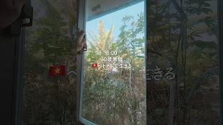 ベトナム田舎生活。雷魚を丸焼きにして食べる。 #ベトナム #ホーミチン