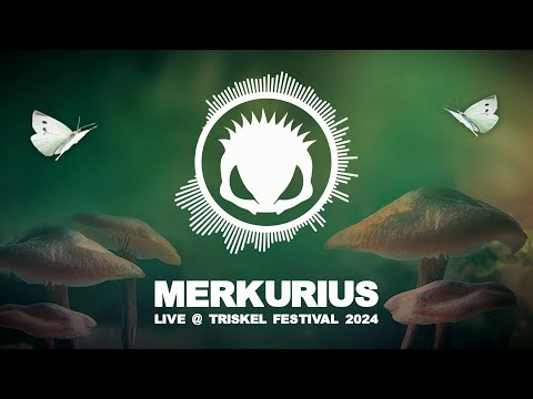 Merkurius @ Triskel Festival 2024 (Hardtek, Raggatek, Frenchcore)