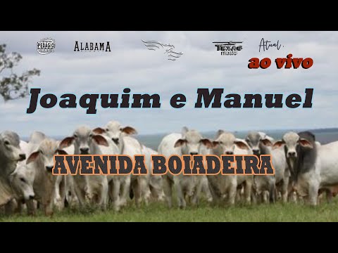 AVENIDA BOIADEIRA - JOAQUIM E MANUEL (QUARENTENA SERTANEJA)