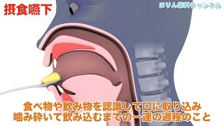 まりん歯科小児歯科医院