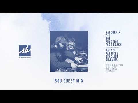 Bou Guest Mix - Skankandbass Summer Solstice