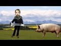 How To Clone A Pig