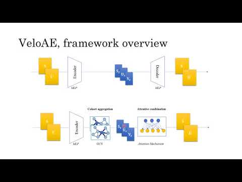 Representation learning of RNA velocity reveals... - Chen Qiao - MLCSB - Talk - ISMB/ECCB 2021