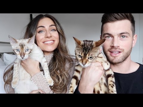 WHAT HAPPENED AT OUR WEDDING | Lydia Elise Millen