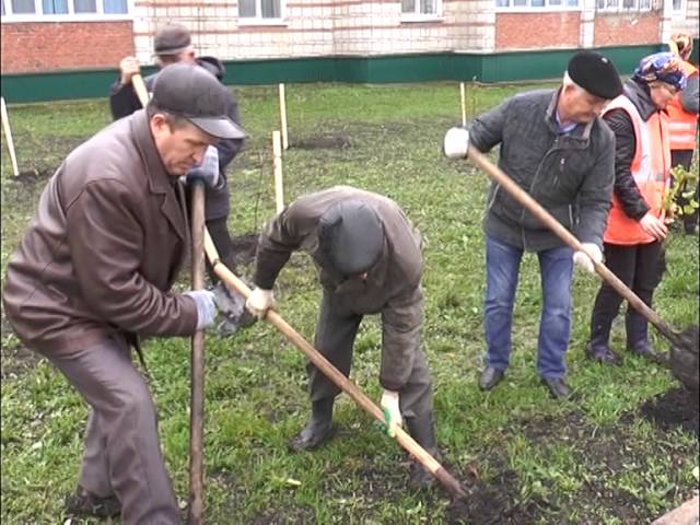 2900 төп яшь агач үсентесе