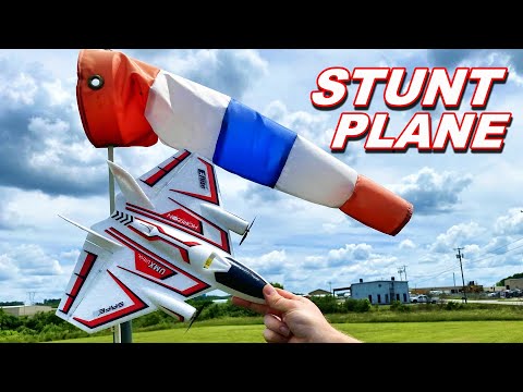 Easy To Fly RC Plane Under $150  - E-Flite UMX Ultrix 5 Month Follow Up - TheRcSaylors