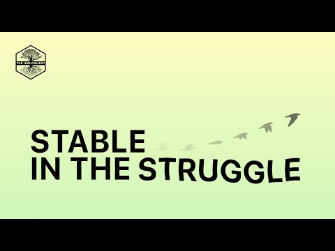The Ineloquent - Stable in the Struggle (Official Lyric Video)