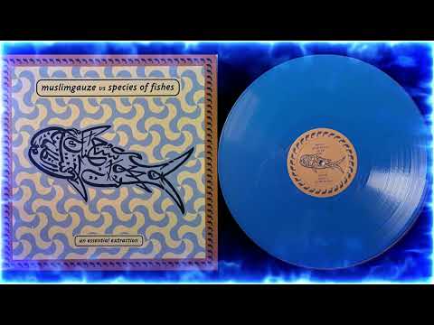 Muslimgauze vs Species Of Fishes (Виды Рыб) - An Essential Extraction  (2023) [12" EP]