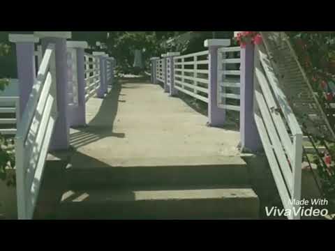 #Zandra'sBeachResortandConventionCente/#BatuanMasbate/#JohnMichaelDejumo