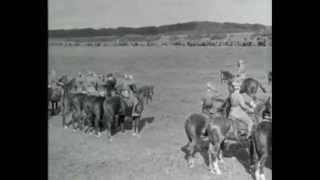 1930 kongerevy