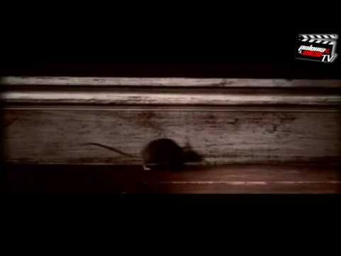 Zapowiedź: Polonia Bydgoszcz - Falubaz Zielona Góra (09.04.2012)