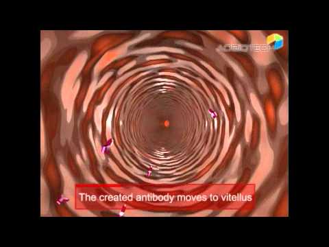 화장품기술3D(영문).avi