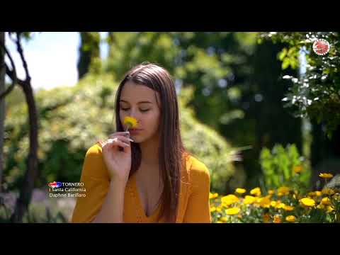 I Santo California con Daphne Barillaro - Tornero (2019)