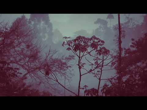 Video thumbnail s5taCgry_ZI