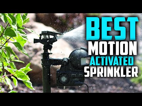 The 5 Best Motion Activated Sprinkler For 2022 [Which One Is Right For You?]