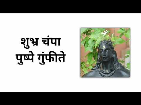 Shubhra Champa Pushpe Gumpheete | शुभ्र चंपा पुष्पे गुंफीते Cover By Suchita Moghe