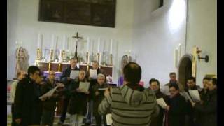 Prova di canto Jesu Rex Admirabilis di Giovanni Pierluigi da Palestrina Tenori e Bassi