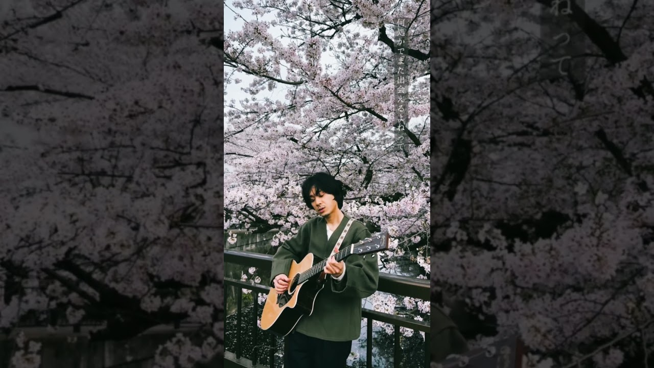 #tonun #青い春に (Re-recorded)#lyricvideo #弾き語り #fyp