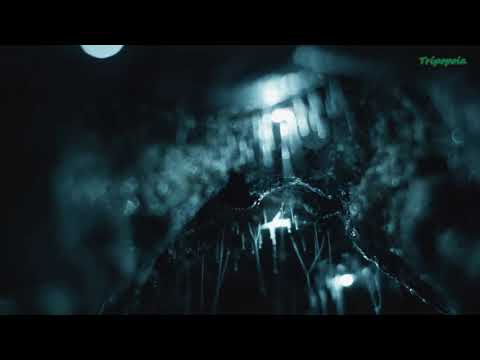 Waitomo Glow Worm Caves , Auckland , New Zealand