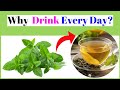 What basil tea really does to your body