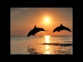 Wishing on Star - Marion Meadows.wmv 