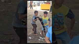 Download lagu buntut barongan copot, dicabut bocil 😅 #barongankendal #singobarong #trendingshorts mp3 Download lagu buntut barongan copot, dicabut bocil 😅 #barongankendal #singobarong #trendingshorts mp3