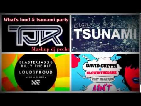 Tjr vs guetta vs dvbbs vs blaterjaxx - Wha's loud & tsunami parti ( Mashup dj peche)