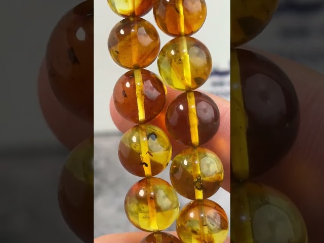 سبحة كهرمان حشري من النوادر