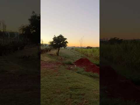 Siqueira Campos, Interior do Paraná #interior #sitio #roca
