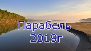 Рыбалка в томской области на оби