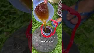 Download lagu Let's make POC from goat manure! #poc #goatmanure #gardening #urbanfarming #organic mp3