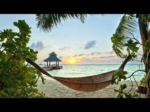 🌴 Ikson Tropical House Chill Mix | Relaxing Chilling Upbeat Music 🌴