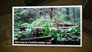 preview picture of video 'Wrangell to Ketchikan Ranlo's photos around Ketchikan, United States (ketchikan travel blog)'